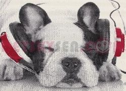Koberec Buldog cream red
